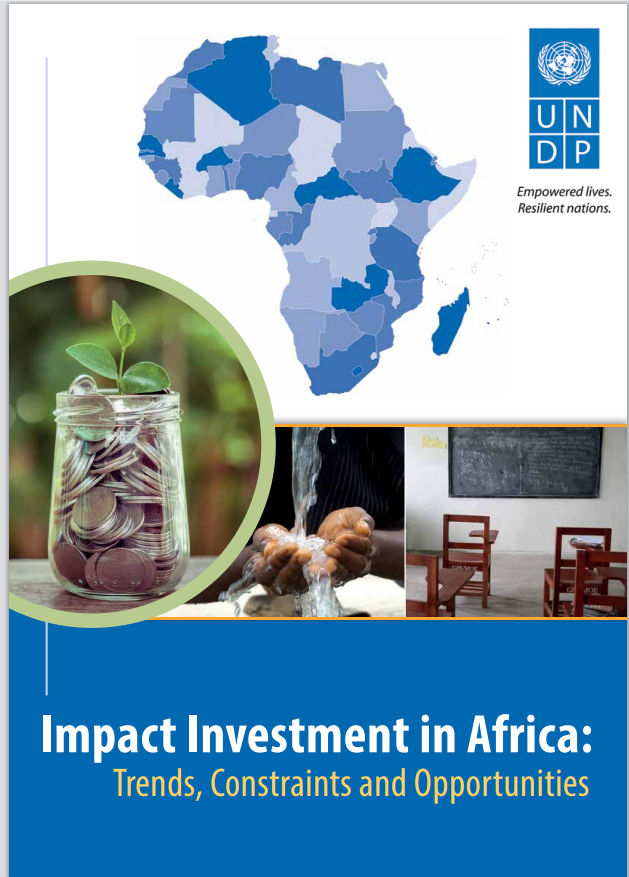 You are currently viewing UNDP IMPACT INVESTMENT REPORT IN AFRICA: TRENDS, CONSTRAINTS AND OPPORTUNITIES.